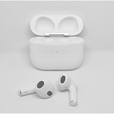 TD 애플 정품 에어팟 3세대 왼쪽 오른쪽 유닛 충전 본체 국내 유통, 애플 정품 에어팟 3세대 본체만(이어폰 없음)