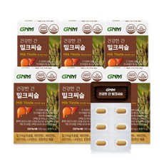 GNM자연의품격 건강한 간 밀크씨슬, 30정, 6개