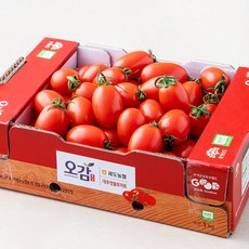 세도농협 GAP 인증 대추방울토마토, 1kg, 1박스