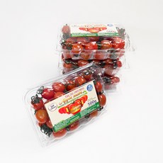 필수 품목 방울토마토 추천 Top 5-스테비아 대추 방울 토마토 애플마토, 2kg, 1개
